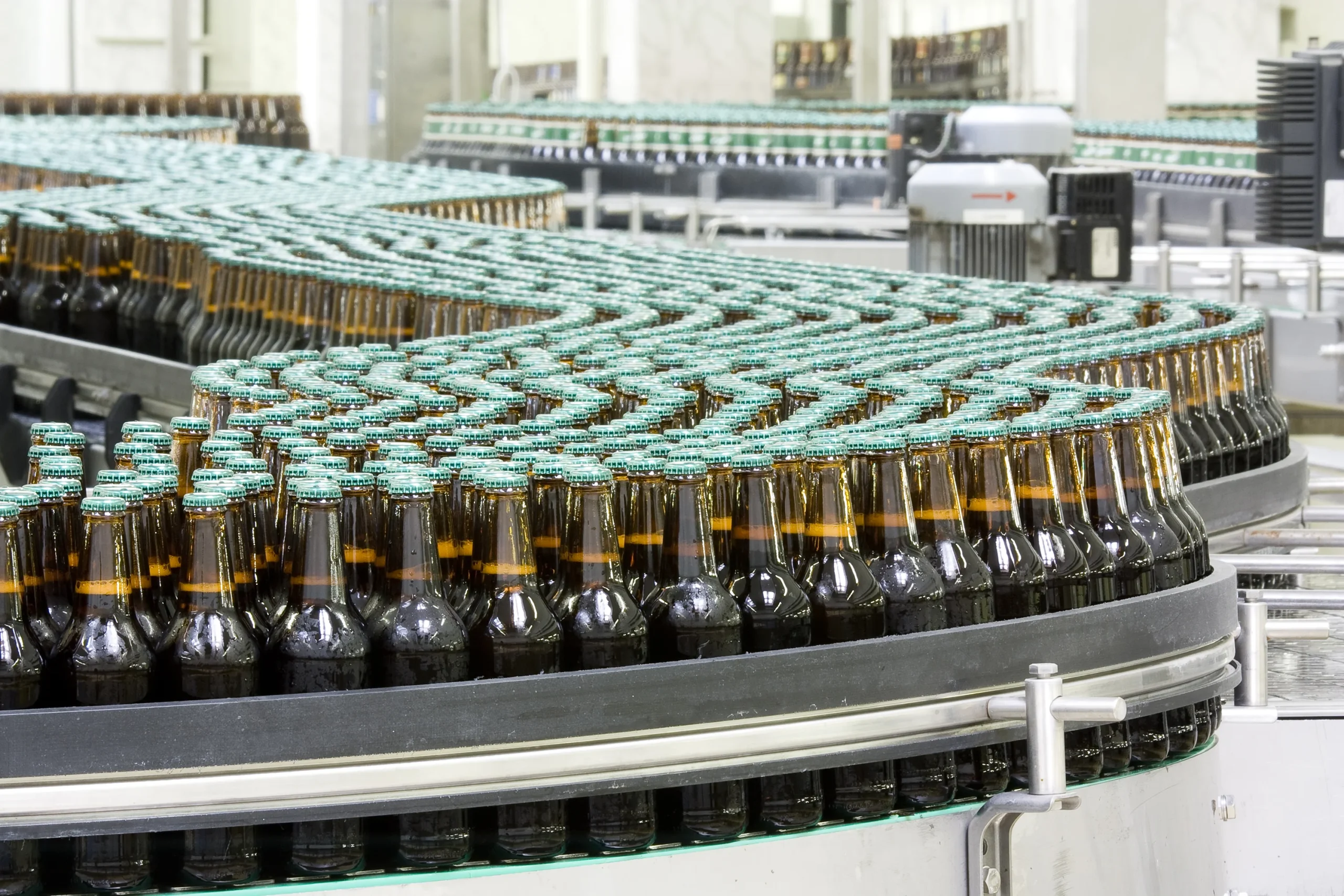 Bottles of beer on conveyor