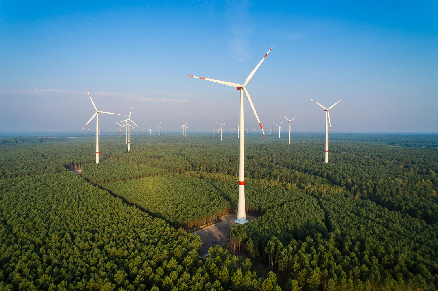 Wind turbines in a forest showcase the importance of all green energy sources in the green energy transition