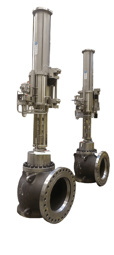 Image of an 100D LWB control valve from IMI CCI