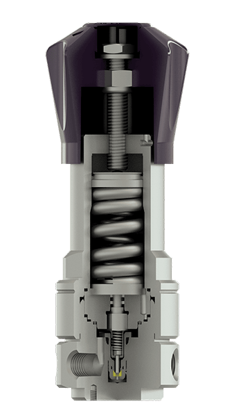 Quarter inch back presure valve